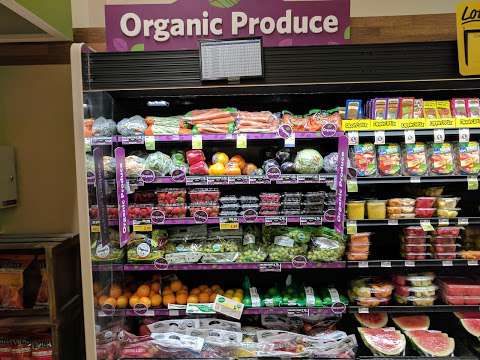 Food Lion Food Lion